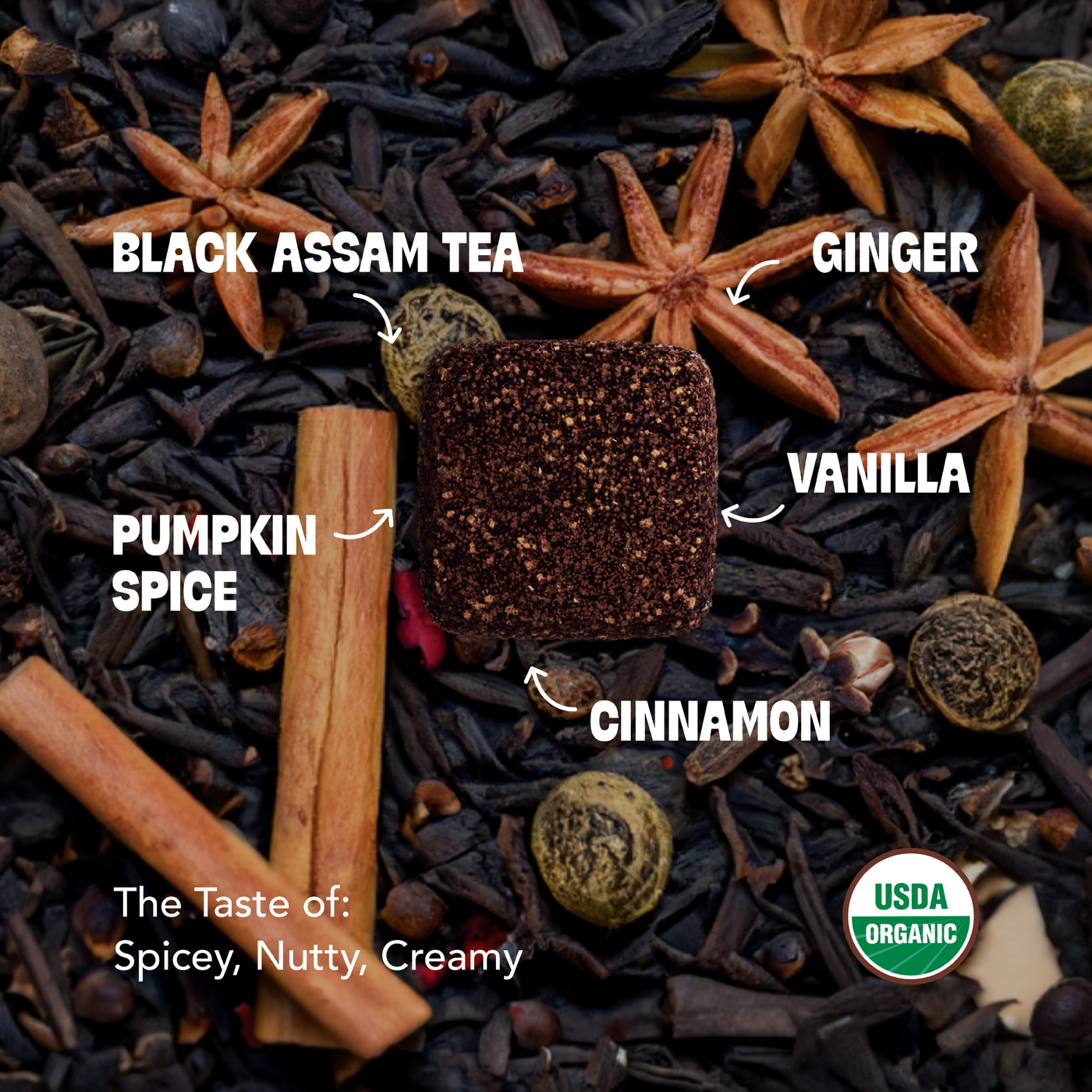 Pumpkin Spice Latte Kit